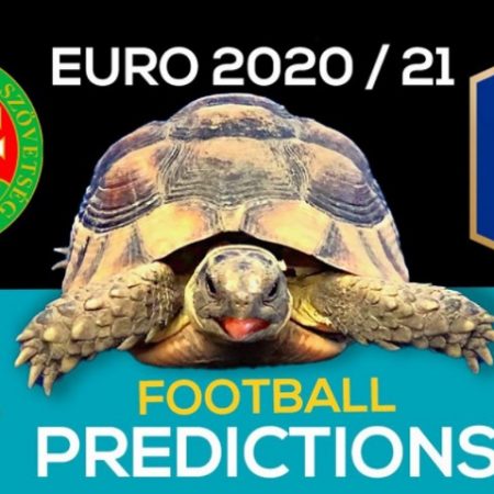 Rùa tiên tri dự đoán trận đấu giữa Pháp và Hungary tại lượt 2 vòng bảng Euro 2021